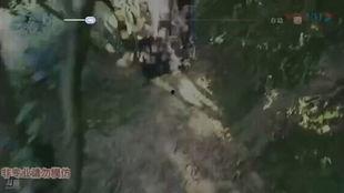 国产蛇进酒店视频大全在线观看,视频大全在线观看揭秘